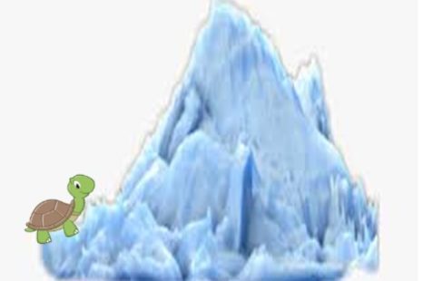 La tortuga que quería escalar el Everest
